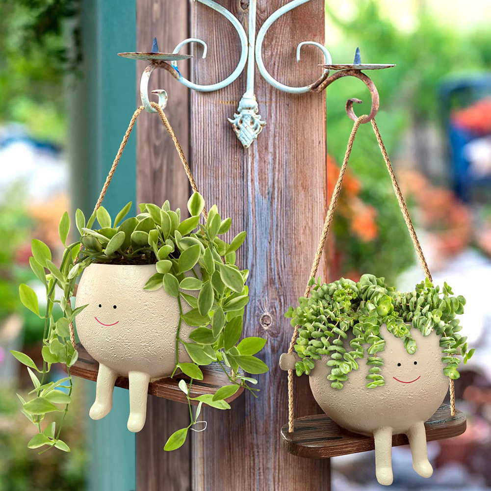 植物ハンガーバスケット 素敵なスイングフェイスプランターポッ - Echeveria Succulent のレビューと価格