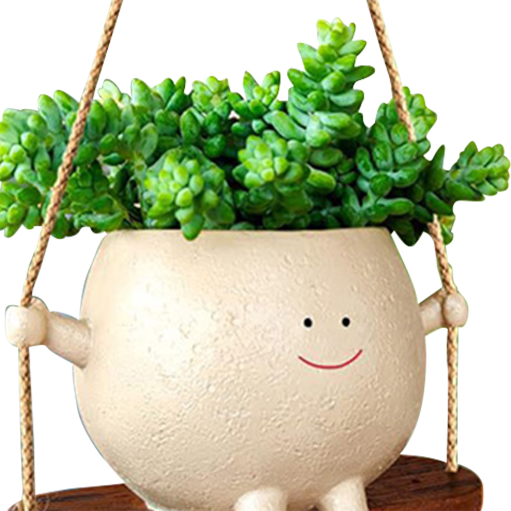 植物ハンガーバスケット 素敵なスイングフェイスプランターポッ - Echeveria Succulent のレビューと価格