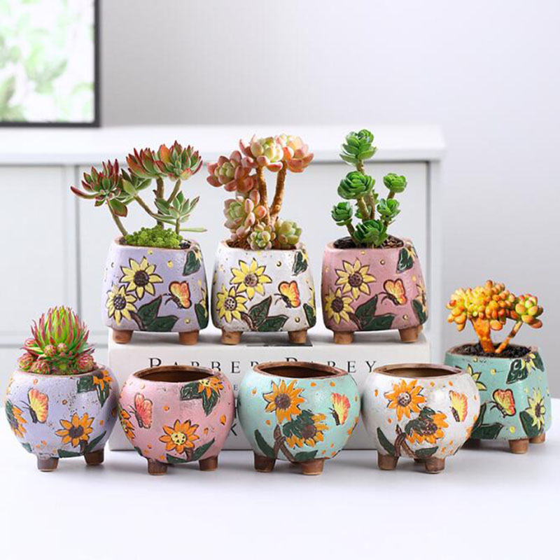 韓国スタイルひまわり柄多肉植物ポット通気性花瓶穴付きかわいい - Echeveria Succulent のレビューと価格
