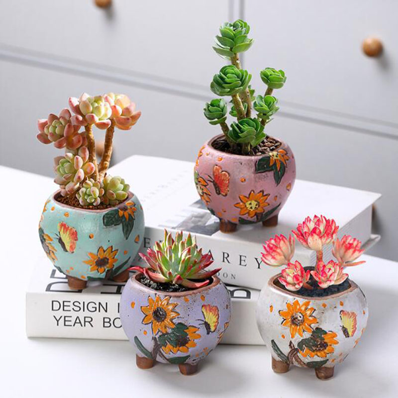 韓国スタイルひまわり柄多肉植物ポット通気性花瓶穴付きかわいい - Echeveria Succulent のレビューと価格