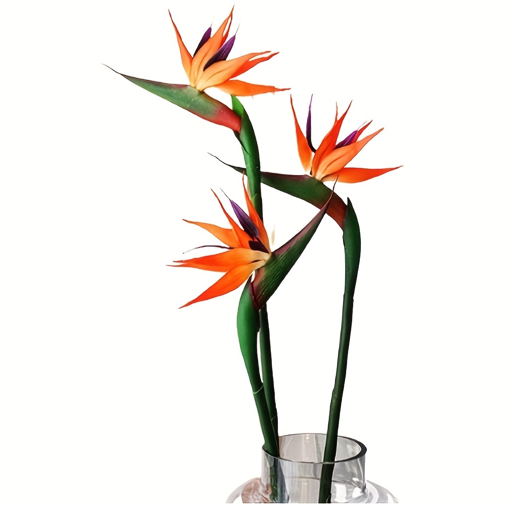 人工天国の鳥の花 3 個、偽の極楽鳥ストレリチア、ホームオフ - Bird Paradise Strelitzia のレビューと価格