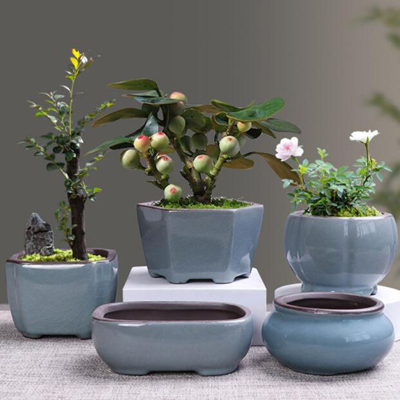 家と庭のためのレトロなセラミック植木鉢,通気性のある花瓶,盆 - Echeveria Succulent のレビューと価格