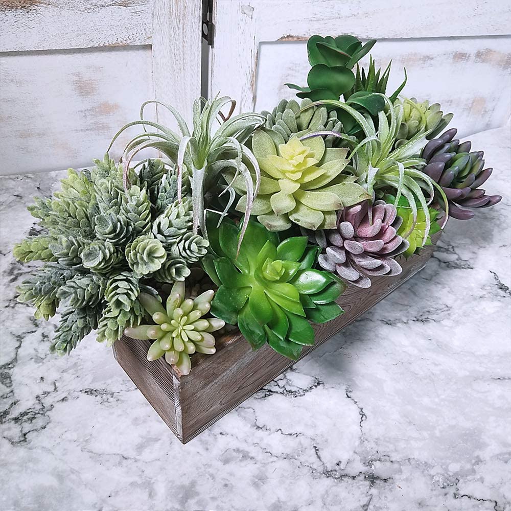 15個入りアソート人工多肉植物、鉢なしフェイクサボテン、テク - Echeveria Succulent のレビューと価格