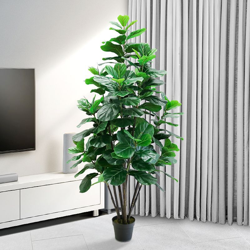 35～150cmの熱帯樹木、大型フェイクフィカス・リラータ、 - Ficus Lyrata Tree のレビューと価格