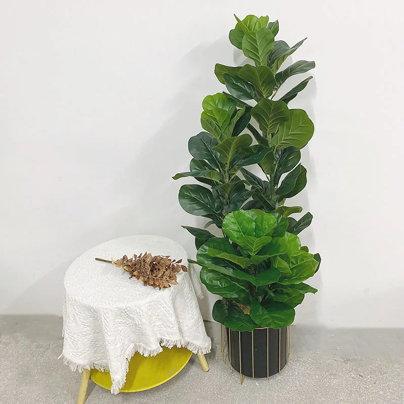 35～150cmの熱帯樹木、大型フェイクフィカス・リラータ、 - Ficus Lyrata Tree のレビューと価格