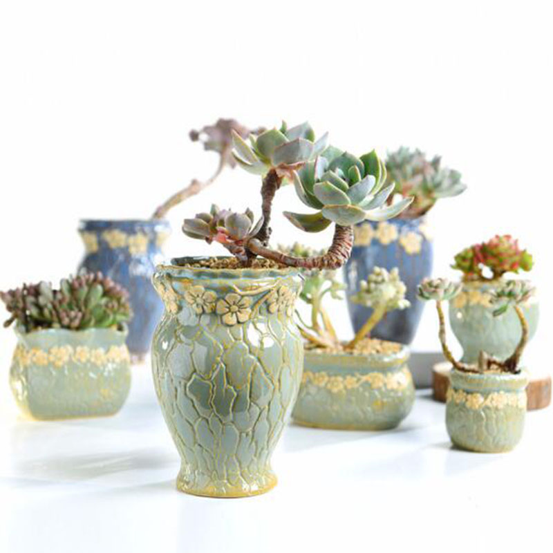 多肉植物植木鉢中小サイズの花瓶レトロな花の植木鉢クリエイティ - Echeveria Succulent のレビューと価格