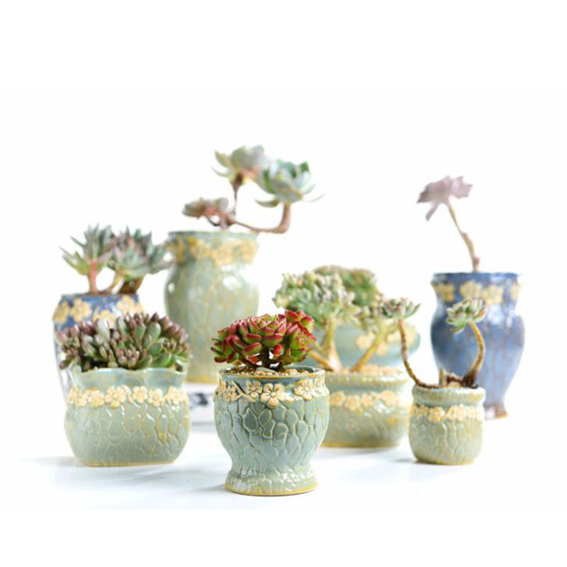 多肉植物植木鉢中小サイズの花瓶レトロな花の植木鉢クリエイティ - Echeveria Succulent のレビューと価格